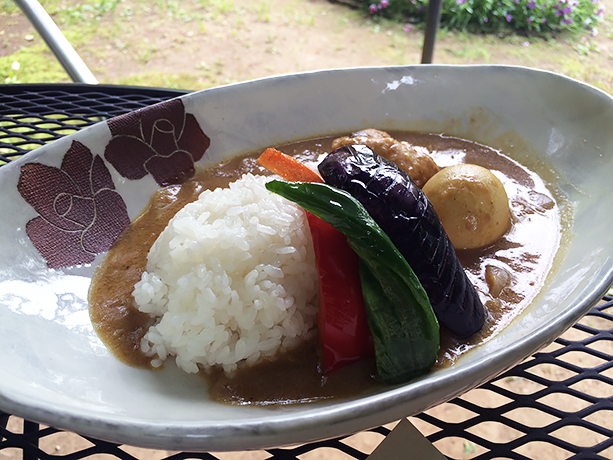 野菜とチキンが入ったカレー