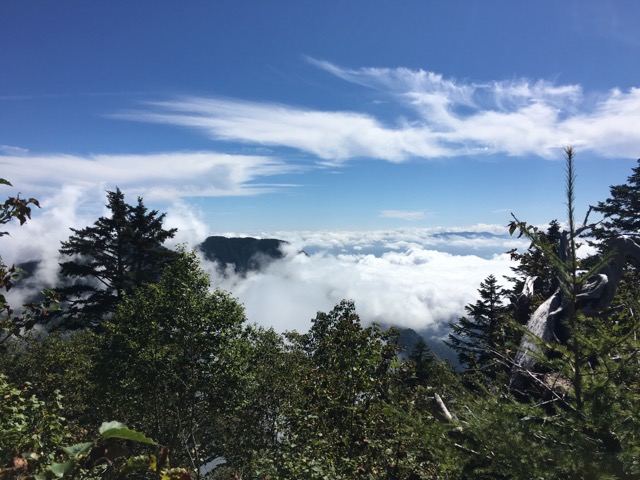 合戦小屋近くからの景色。既に雲の上。