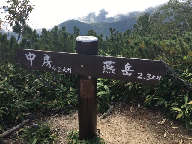 残り2.3km！！とはいえ山の道ではまだかなりの時間がかかります。