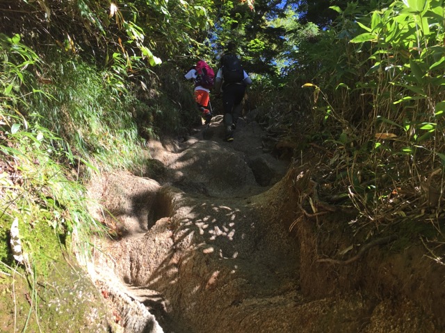 登山道の一部。すべてこんな急な傾斜ではないですよ！