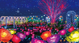 冬の栃木県は夜が熱い！「日本夜景遺産」認定スポットが目白押し！サムネイル