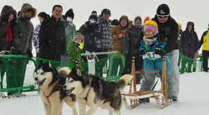 日本最北稚内で犬たちの甲子園開催！！第36回全国犬ぞり稚内大会を2月23日(土)～24日(日)に開催サムネイル