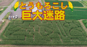 「とうもろこし巨大迷路」7/20オープン！ 庄内平野・日本海まで一望できる月山高原に期間限定出現サムネイル