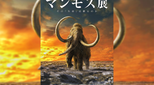 来場者20万人突破！ 公式イラストキャラクターも決定！ いよいよ11月4日まで！ 絶賛開催中！ 「マンモス展」サムネイル