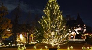 大学で夜空に輝くクリスマスツリーを堪能！ 2019明治学院 クリスマスツリー点灯式開催！サムネイル