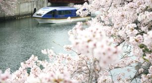 約600本の桜と横浜港のパノラマが楽しめる『大岡川桜クルーズ』 3/20～期間限定で運航！9日間限定で「夜桜クルーズ」もサムネイル