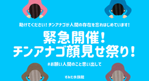 人間の存在を忘れてしまったチンアナゴを助けて…！あなたの顔を見せてください「チンアナゴ顔見せ祭り」緊急開催サムネイル