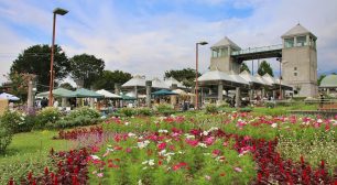 ぐんまフラワーパークでアンティークと花がテーマのマーケット 「第3回　古花市 ～Antique Floral Market～ 2020」 9月26日(土)・27日(日)開催！サムネイル