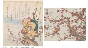 すみだ北斎美術館、北斎や弟子が描いた桜をはじめ、 四季の花々を展示する「北斎花らんまん」を開催　 ＜期間：3月15日(火)～5月22日(日)＞サムネイル